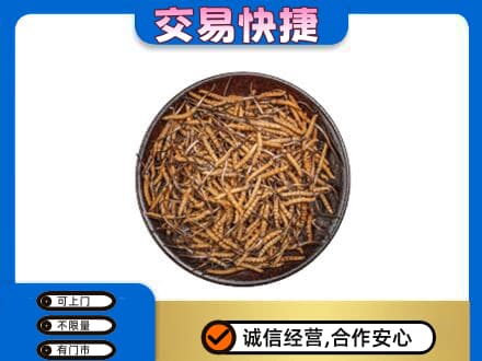 黄南回收散虫草